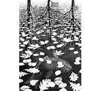 Puzzle 1000 pièces pour Adultes, inspiré d'Escher et des Trois Mondes. Impression giclée. Jeu de Puzzle Stimulant de 26 x 38 cm.