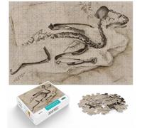 Puzzle 1000 pièces pour Adultes, Kingfisher Fossil