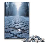 Puzzle 1000 pièces pour Adultes La Route pavée est recouverte de Givre argenté pour Toute la Famille. 1000 pièces (38 x 26 cm).