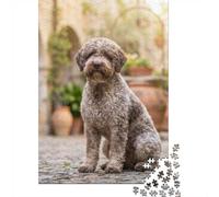 Puzzle 1000 pièces pour Adultes, Lagotto Romagnolo Dog in Courtyard