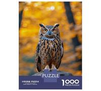 Puzzle 1000 Pièces pour Adultes Owl Perched on Rock in Autumn Puzzle pour Adultes - Découpe De Précision - Jeu Difficile Et Stimulant - Jeu Intellectuel 52x38cm/1000pcs