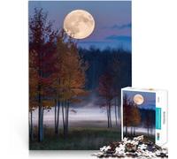 Puzzle 1000 pièces pour Adultes Pleine Lune sur Un Champ Brumeux Apprentissage éducatif Liste de souhaits avec Le Père Noël 75x50cm