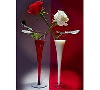 Puzzle 1000 pièces pour adultes - Roses rouges et blanches - Chaque pièce est unique, la technologie Softclick signifie que les pièces s'emboîtent parfaitement 75x50cm