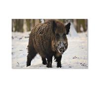 Puzzle 1000 Pièces pour Adultes,Sanglier avec de la Neige sur Son Nez,Ensembles De Puzzle De Défi Cérébral pour Enfants, Jeux Éducatifs pour Enfants, Cadeau De Divertissement(50x70cm)-E54