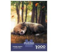 Puzzle 1000 Pièces pour Adultes The Sleeping Fox Cub Puzzle pour Adultes Jeu Manuel Décoration Murale pour Les Joueurs 52x38cm/1000pcs