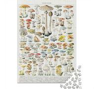 Puzzle 1000 pièces pour Adultes, Vintage Adolphe Millot-1