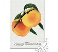 Puzzle 1000 pièces pour Adultes, Vintage Wager Peach Botanical Illustration