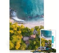 Puzzle 1000 pièces pour Adultes, Vue aérienne d'une Plage Tropicale, Jeu de réflexion Amusant et Complexe, pour Noël (38x26cm)