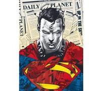 Puzzle 1000 pièces Premium Plus : Superman / Warner Superman G