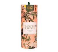 Puzzle 1000 pièces Professor Puzzle Feathered Friends 49 x 73 cm boîte cylindrique pêche/rose