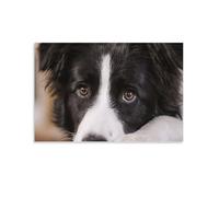 Puzzle 1000 pièces Puzzle 1000 pièces Adultes Classique Puzzles CadeauxChien Border Collie 38x52cm