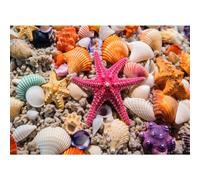 Puzzle 1000 pièces, puzzle adulte, un puzzle difficile, jeux de puzzle pour toute la famille, cadeaux pour femmes, cadeaux pour hommes, thème : étoiles de mer et coquillages