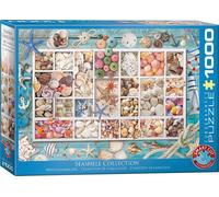 puzzle 1000 pièces - Puzzle - Collection de coquillages maritimes + puzzle cadre alu pour 1000 pièces