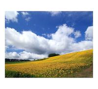 Puzzle 1000 Pièces - Puzzle de Qualité SupéRieure-Domaine,Culture,économie 70x50cm