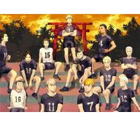 Puzzle 1000 pièces - Puzzle Difficile - Coloré - Affiches Classiques du Dessin animé Japonais Haikyuu !! Jouets éducatifs pour Enfants - Jouets stimulants personnalisés pour Adultes 26x38cm