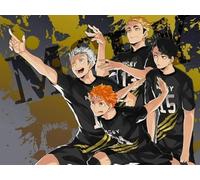 Puzzle 1000 pièces - Puzzle Difficile - Coloré - Affiches Classiques du Dessin animé Japonais Haikyuu !! Jouets éducatifs pour Enfants - Jouets stimulants personnalisés pour Adultes 26x38cm