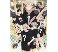 Puzzle 1000 pièces - Puzzle Difficile - Coloré - Affiches Classiques du Dessin animé Japonais Haikyuu !! Jouets éducatifs pour Enfants - Jouets stimulants personnalisés pour Adultes 38x52cm