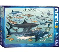 puzzle 1000 pièces - Puzzle - Les requins des océans + accessoires de puzzle