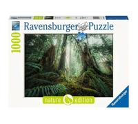 Puzzle 1000 pièces - Ravensburger - En forêt - Paysage et nature - Adulte - Coloris Unique