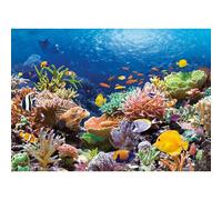Puzzle 1000 pièces Récif de Corail