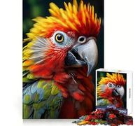 Puzzle 1000 pièces Regard Royal du Perroquet pour Adultes et Adolescents, Jeu intellectuel, à Partager, à savourer chez soi, découpe de qualité, Cadeau Classique (50x75cm)