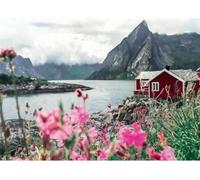 Puzzle 1000 pieces Reine, Lofoten, Norvege (Highlights), Adultes & enfants, Des 14 ans, 12000112, Ravensburger