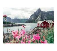 Puzzle 1000 pièces Reine, Lofoten, Norvège (Highlights), Adultes & enfants, Dès 14 ans, 12000112, Ravensburger