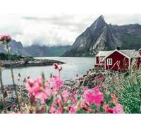 Puzzle 1000 pieces Reine, Lofoten, Norvege (Highlights), Adultes & enfants, Des 14 ans, 12000112, Ravensburger