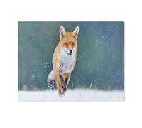 Puzzle 1000 Pièces，Renard en Chasse Quotidienne Pendant la Rude Saison hivernale，Jouets Éducatifs pour Enfants Noël（75x50cm）-T25