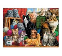 Puzzle 1000 pièces : Rencontre féline