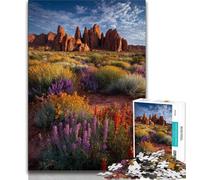 Puzzle 1000 pièces représentant Un vaste Paysage désertique pour Adultes et Adolescents, idéal pour Tuer Le Temps en Vacances Chaque pièce est Unique - Jeu Familial Stimulant (38x26cm)