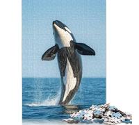 Puzzle 1000 pièces représentant Une Baleine Orque Qui Saute Hors de l'eau, pour Adultes et Adolescents, Cadeau d'halloween, pour Adolescents, Hommes et Femmes, 1000 pièces (75 x 50 cm)