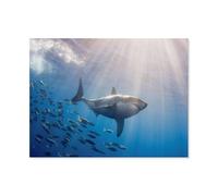Puzzle 1000 Pieces，Requin et Banc de Poissons，Enfants Cadeau Puzzle Jeu Intelligent Éducatif Vacances Puzzle Jouet Peintures Bâtiment Puzzle Jouer Tapis（75x50cm）-M60