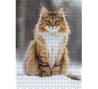 Puzzle 1000 Pièces, Rester Un Chaton en Herbe Puzzle Adulte 1000, Impossible Classique Jigsaw, Jigsaws en Bois, Familial Puzzles Jeu de, pour Jeu Éducatif Défi, Décoration Cadeau BXHZW5-197