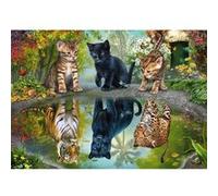 Puzzle 1000 pièces : Rêvez en grand ! Schmidt G