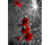 Puzzle 1000 pièces Rose Puzzle Rose Noir Blanc Rouge Série Puzzle Puzzle DIY Jeu de Puzzle en Bois Enfants Adultes Puzzle Décoration de la Maison Cadeau de Noël décoration peinture50x70CM