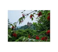 Puzzle 1000 Pièces，Ruines du château de Fleckenstein，pour Adultes Adolescents Scies Sauteuses 1000 Pièces Idéal pour La Relaxation Méditation Passe-Temps Cadeau d'anniversaire（38x26cm）-AT9