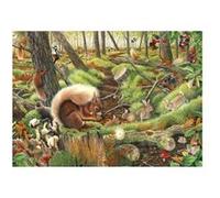 Puzzle 1000 Pièces : Save Our Squirrels, The House of Puzzles G