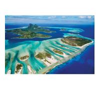 Puzzle 1000 pièces : Save the planet : Récif de corail