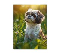 Puzzle 1000 Pieces，Shih Tzu, Dois-Je me Cacher dans l'herbe，Adultes Enfants en Papier Puzzle Classique Jeu Jouet Puzzles（38x26cm）-AO7
