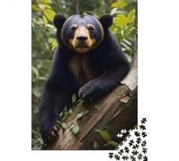 Puzzle 1000 Pièces, Sun Bear in Forest, Cadeau De Noël, 52x38cm/1000pcs