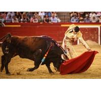 Puzzle 1000 pièces Tauromachie espagnole, Affiche Murale, Jouet pour Adulte, Jeu de décompression, Gt129Vy, 26 x 38 cm
