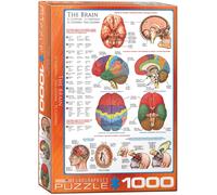 Puzzle 1000 Pièces The Brain Eurographics 680mm x 490mm (pz)