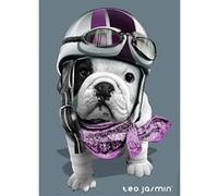 Puzzle 1000 pièces : Théo Jasmin G