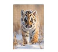 Puzzle 1000 Pieces Tigre Puzzle Animal 1000 Pièces Grand Adultes Difficile Jigsaw en Bois avec Boîte Cadeau, Challenge Impossible Créatif Jeu pour Adulte, Décoration, Cadeau Femme 75x50cm D-1560