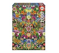 Educa - Puzzle de 1000 pièces pour Adultes | Toucans, Catalina Estrada. Mesure: 48 x 68 cm. À partir de 14 Ans (19934)