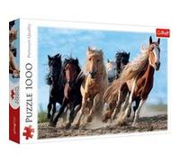 Puzzle 1000 pièces Trefl Chevaux au galop E