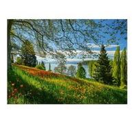 Puzzle 1000 pièces - Tulipes en fleurs : Île de Mainau multicolore G