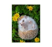 Puzzle 1000 pièces，Un Petit hérisson dans Le Jardin Fleuri，Puzzle 1000 Pieces Enfant Jeu d'adresse pour Toute la Famille, Jeu de Placement coloré（38x26cm）-T80