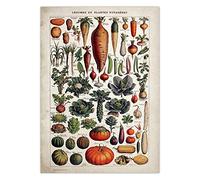 Puzzle 1000 pièces - Une grande variété de légumes et de fruits - Puzzle pour adultes et enfants de 12 ans et plus. Puzzle divertissant et stimulant pour des heures de plaisir en famille. 26x38 cm
